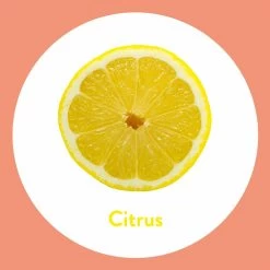 6x Dettol Handzeep Antibacterieel Citrus -Verzorgingsproducten Winkel 1014562 3