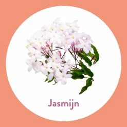 6x Dettol Handzeep Antibacterieel Jasmijn -Verzorgingsproducten Winkel 1014563 3