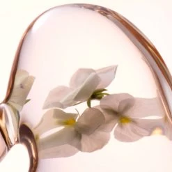 Lancaster Skin Essentials Softening Facial Toner -Verzorgingsproducten Winkel 1046281 5