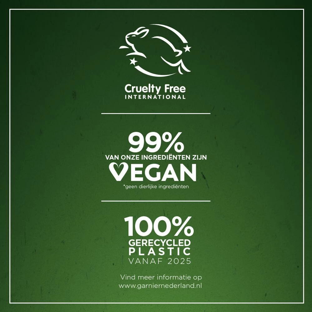 6x Garnier Loving Blends Conditioner Gember Boost 5 6x Garnier Loving Blends Conditioner Gember Boost - Afbeelding 3