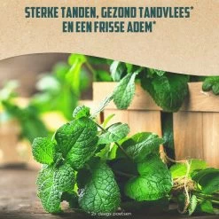 12x Aquafresh Naturals Mint Clean 9 12x Aquafresh Naturals Mint Clean -Verzorgingsproducten Winkel 1052131 4