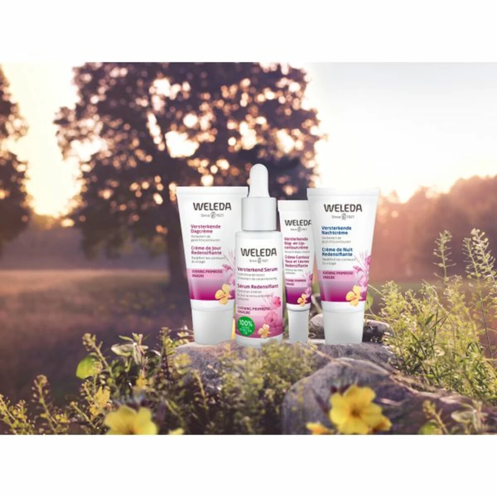 Weleda Oog En Lip Contourcrème Evening Primrose Versterkend 6 Weleda Oog En Lip Contourcrème Evening Primrose Versterkend - Afbeelding 4