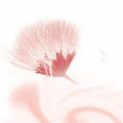 6x Kneipp Douchecreme Silky Secret -Verzorgingsproducten Winkel 975259 3